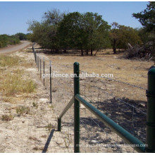 Valla de Campo Galvanizado de Alta Calidad